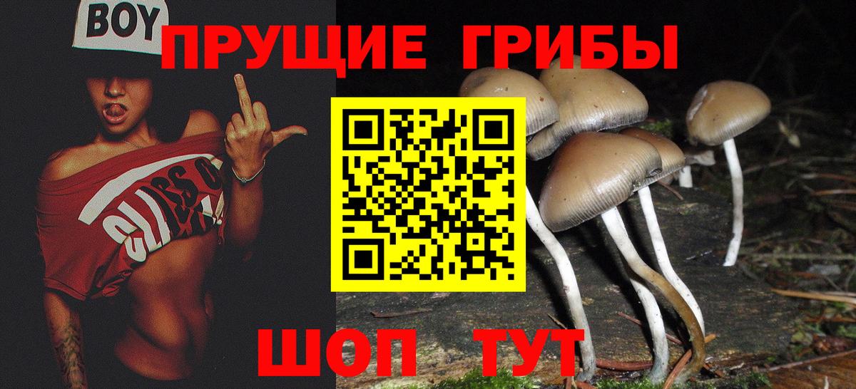 Псилоцибиновые грибы прущие грибы Гурьевск