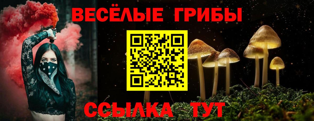 Галлюциногенные грибы мухоморы  Вход с VPN  Псилоцибиновые грибы GOLDEN TEACHER  Гурьевск 