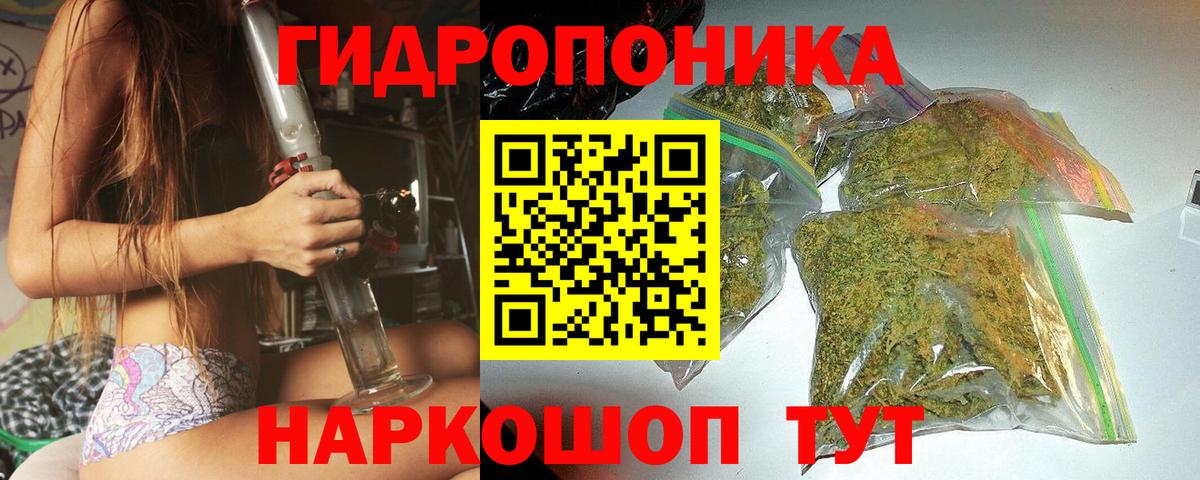 Шишки марихуана конопля  Марихуана MAZAR  Гурьевск  Бошки Шишки SATIVA & INDICA  Вход с VPN 